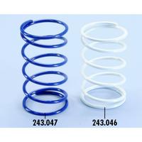 Coppia molle contrasto variatore Evolution per sco