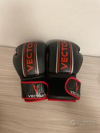 guantoni boxe vector 8oz