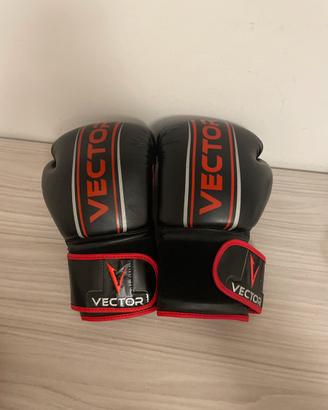 guantoni boxe vector 8oz