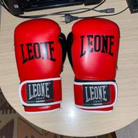 Guantoni da boxe leone