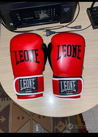 Guantoni da boxe leone