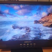 n° 5 monitor LCD