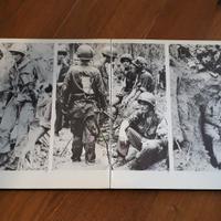 VIETNAM 1972 Libro Fotografico 334 foto Guerra