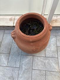 Vasi in terracotta