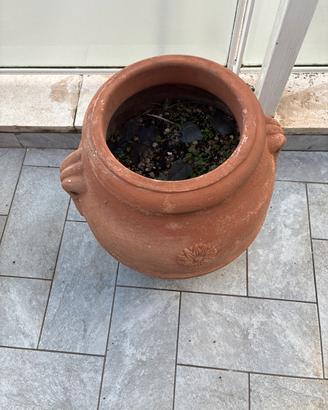 Vasi in terracotta
