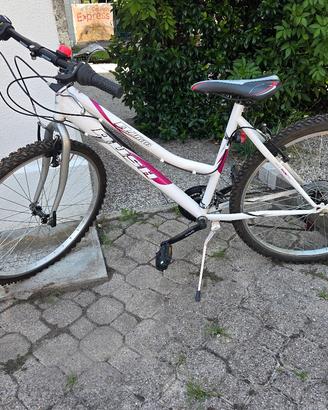 mountain bike da ragazzo