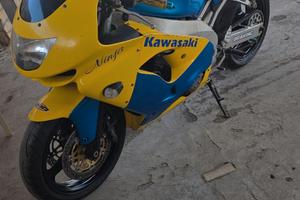 Kawasaki ninja 900rr