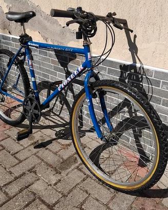 bicicletta 