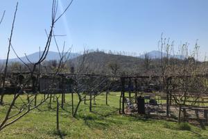 Terreno agricolo Grottaferrata