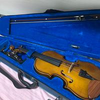 Violino