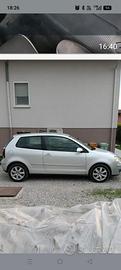 auto polo