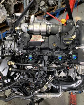 MOTORE COMPLETO FORD Fiesta 7° Serie XUJG Diesel
