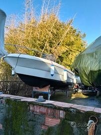 Sessa Key Largo 19