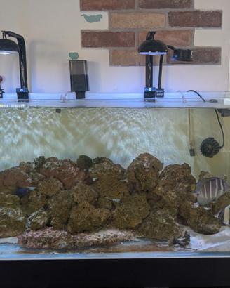 acquario