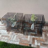 Gabbie per granchio blu