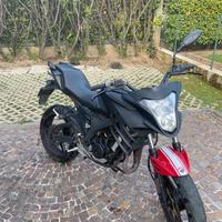 Malaguti Drakon 50