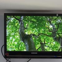 TV televisore Samsung usato