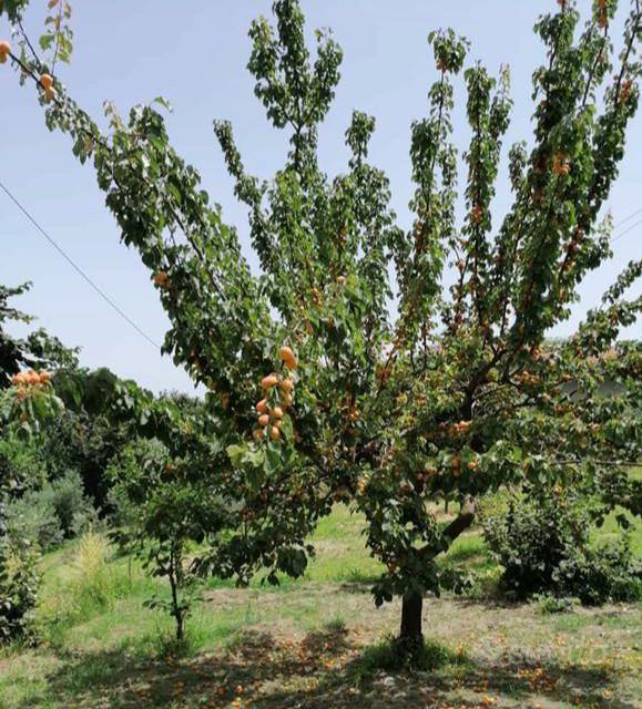 Terreno 2600metri quadrati - Vista 3