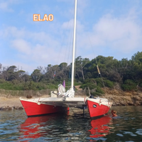 Catamarano a vela Wharram Tiki 26