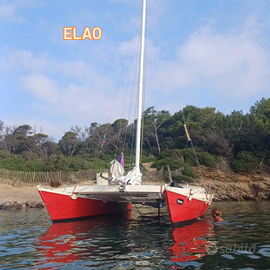 Catamarano a vela Wharram Tiki 26