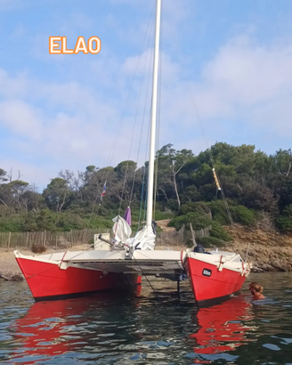 Catamarano a vela Wharram Tiki 26