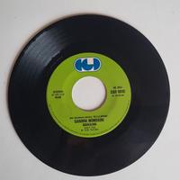 VINILE 45 GIRI DA COLLEZIONE SBIRULINO 1978