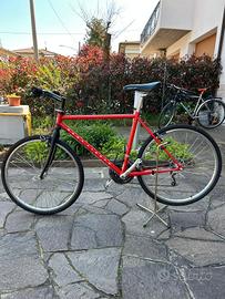 Bicicletta epoca Gary Fisher