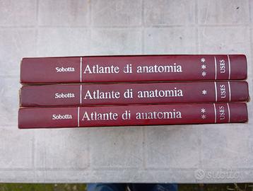 atlante di anatomia umana normale Sobotta