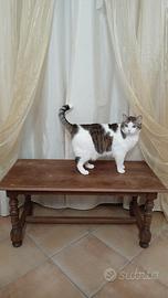 Tavolo Arte Povera Legno Massello