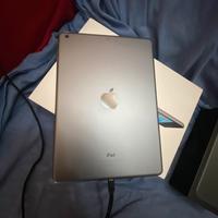 Ipad Air (cellular+wifi)