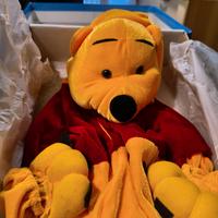 vestito carnevale bimbo 1 o 2 anni Winnie the pooh