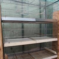 Gabbia zincata 120cm