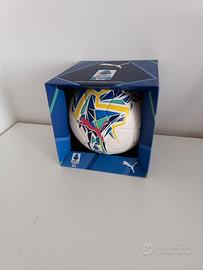 pallone da calcio