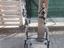 Immagine 2