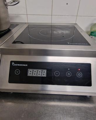 piastra professionale ad induzione 