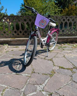 Bicicletta 