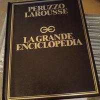 Grande enciclopedia Larousse NUOVO