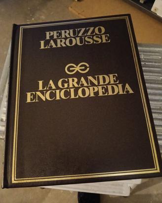 Grande enciclopedia Larousse NUOVO