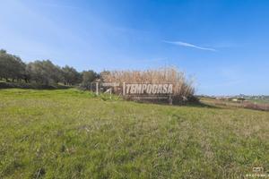 Rustico indipendente con ampio terreno a Santa Mar