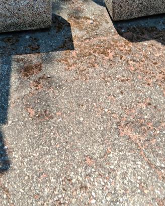 6 vasi di cemento per giardino