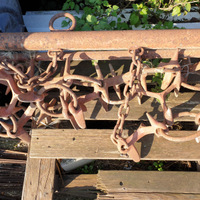 Erpice con ranocchio