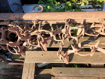 Erpice con ranocchio