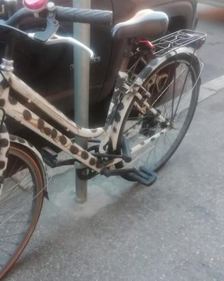 Bici da donna