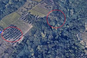 Terreno di 8800 m² a Ortona