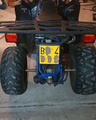 Quad targa gialla