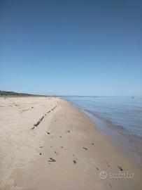 Terreno agricolo sul mare