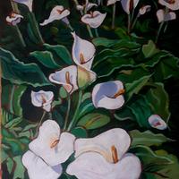 Grafico, illustratore e decoratore