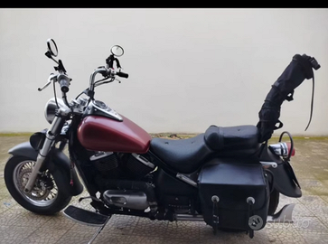 Kawasaki vn 800 Classic custom