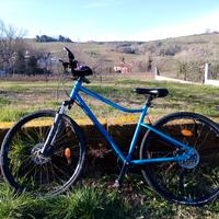 Bici da trekking RIVERSIDE 900