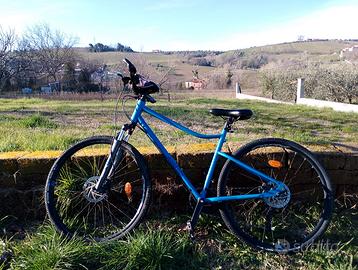 Bici da trekking RIVERSIDE 900